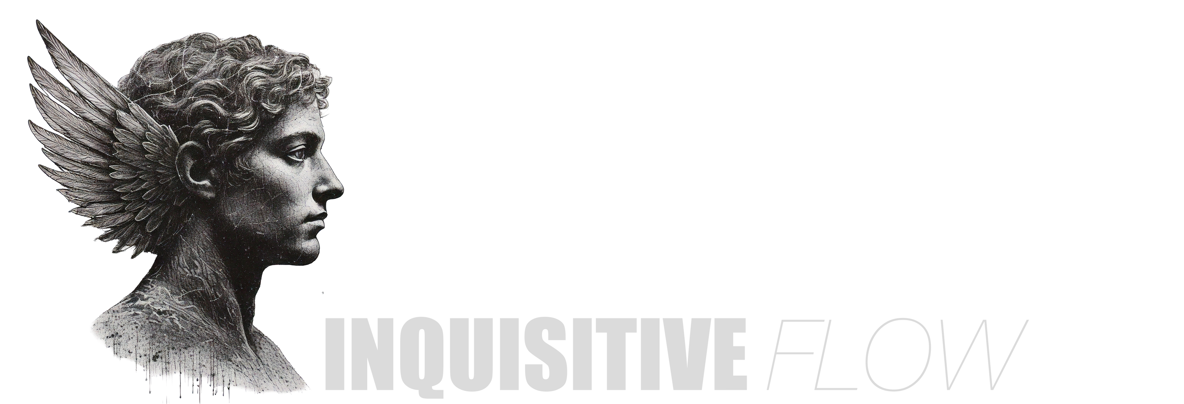 Inquisitive Flow Learning